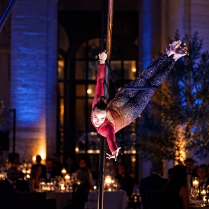 Spettacolo di danza aerea per cena aziendale di gala a Verona